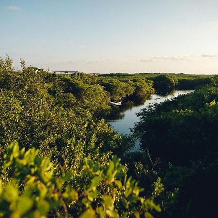 Uman Glamping & Cenote Tulum Hotell Exteriör bild