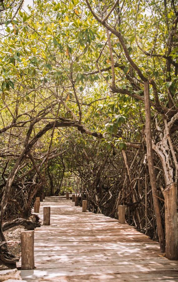 Uman Glamping & Cenote Tulum Hotell Exteriör bild