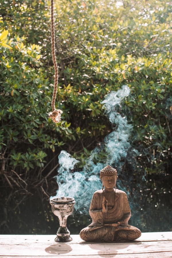 Uman Glamping & Cenote Tulum Hotell Exteriör bild