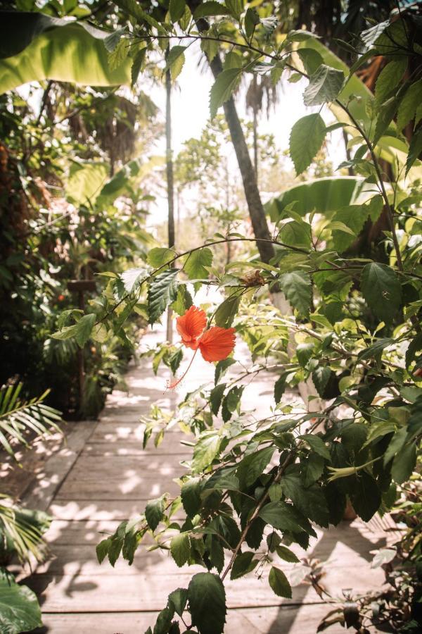 Uman Glamping & Cenote Tulum Hotell Exteriör bild
