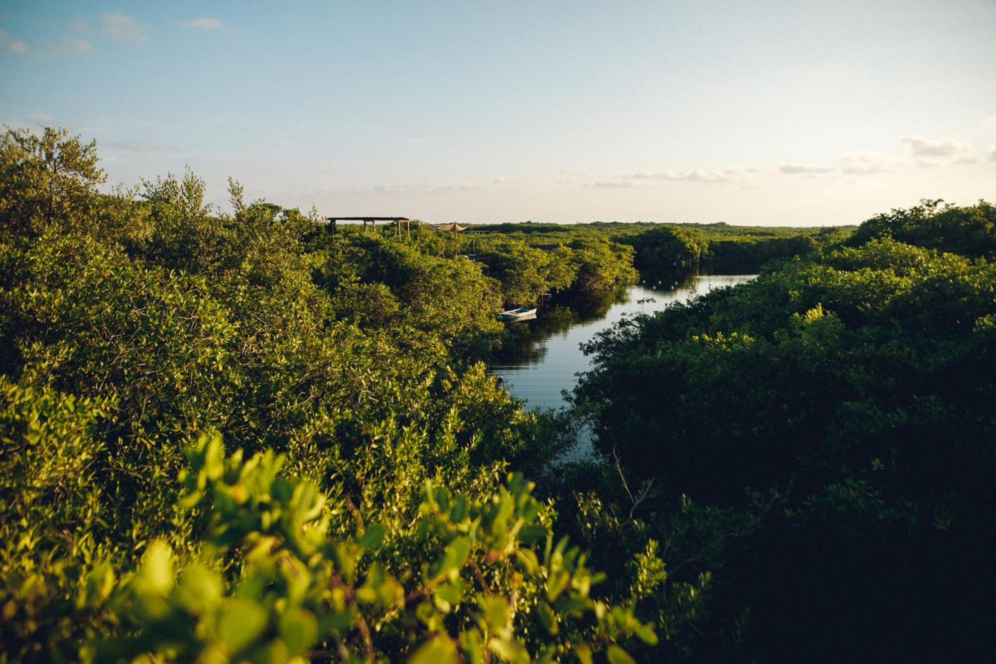 Uman Glamping & Cenote Tulum Hotell Exteriör bild