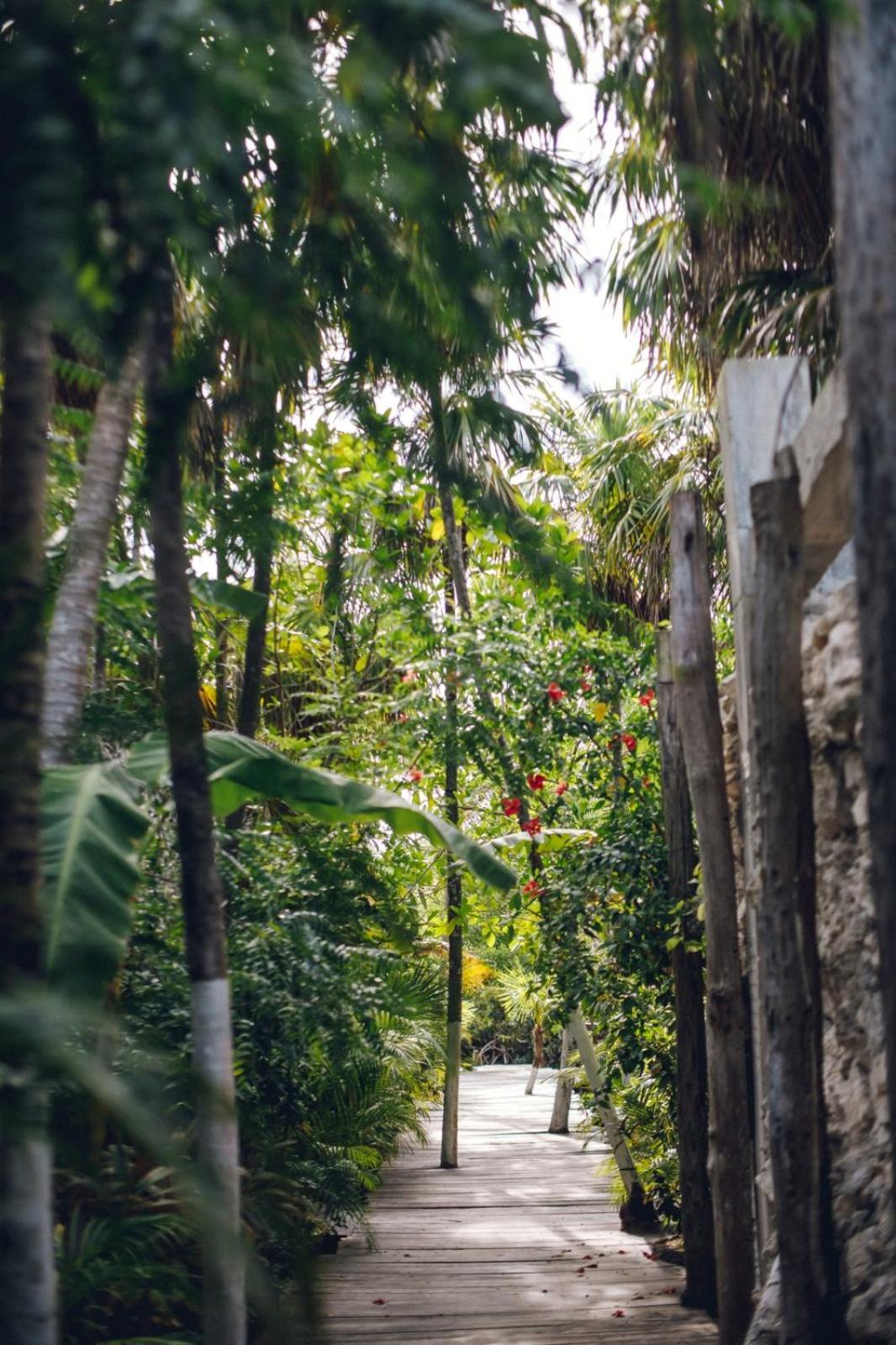 Uman Glamping & Cenote Tulum Hotell Exteriör bild